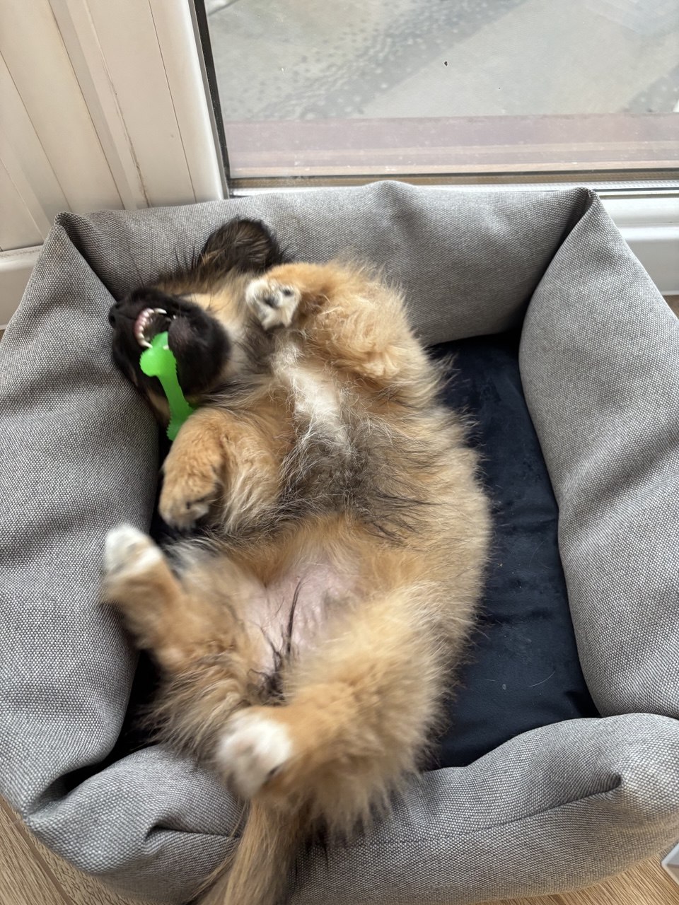Warsztat Looftie 4